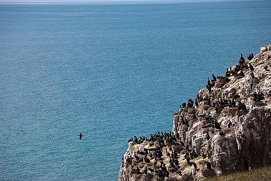 肉哥3D回归！ 《超级食肉男孩3D》2026年发售