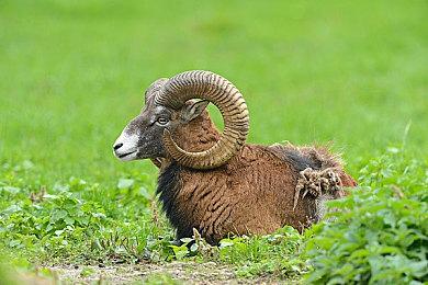 总算力达400P 武汉人工智能计算中心完成三期扩容